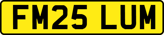 FM25LUM