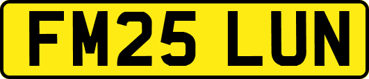 FM25LUN