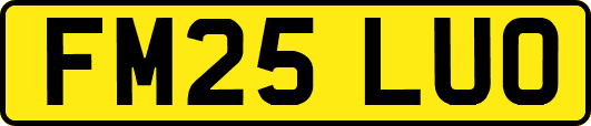 FM25LUO