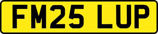 FM25LUP