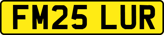 FM25LUR