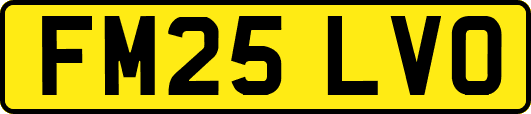 FM25LVO