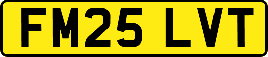 FM25LVT