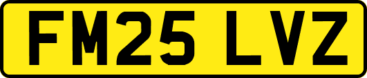 FM25LVZ