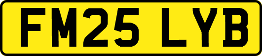 FM25LYB