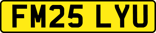 FM25LYU