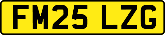 FM25LZG