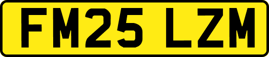 FM25LZM