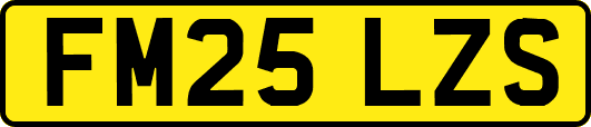FM25LZS
