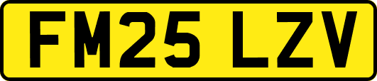 FM25LZV