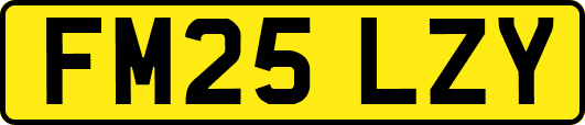 FM25LZY