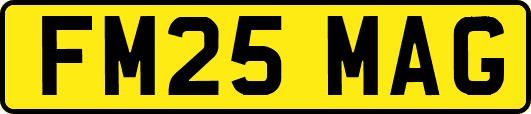 FM25MAG