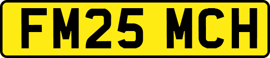 FM25MCH