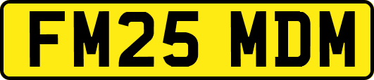 FM25MDM