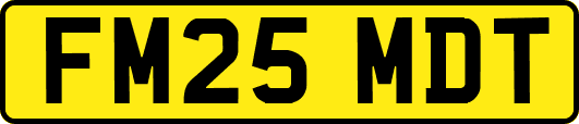 FM25MDT