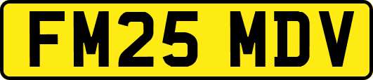 FM25MDV