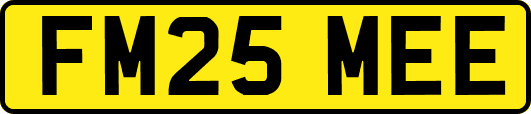 FM25MEE