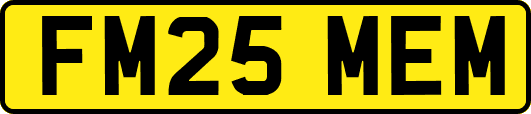 FM25MEM