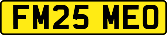 FM25MEO