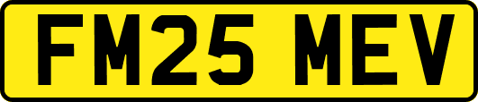 FM25MEV