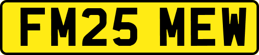 FM25MEW