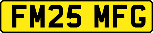 FM25MFG