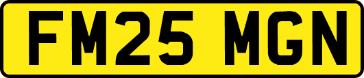 FM25MGN
