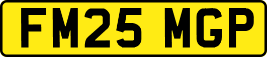 FM25MGP