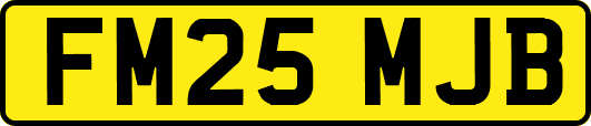 FM25MJB