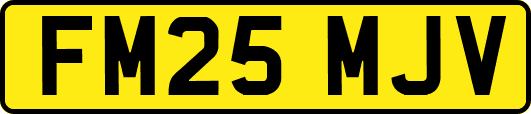 FM25MJV