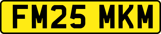 FM25MKM