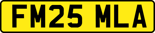 FM25MLA