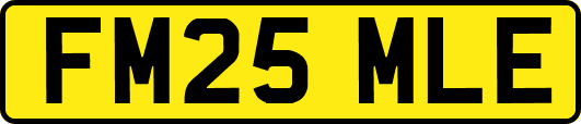 FM25MLE
