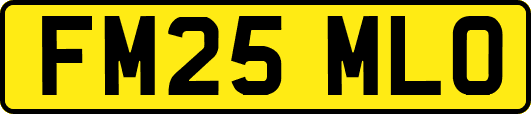 FM25MLO