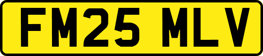 FM25MLV