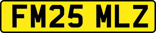 FM25MLZ