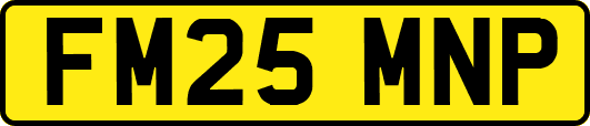 FM25MNP