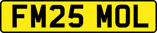 FM25MOL