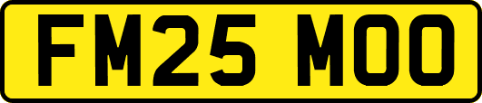 FM25MOO