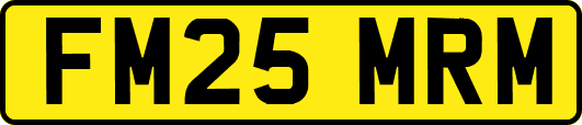 FM25MRM