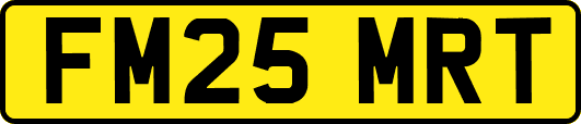 FM25MRT