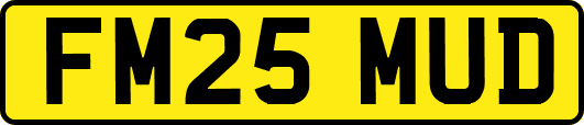 FM25MUD