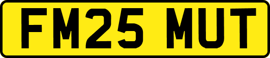 FM25MUT
