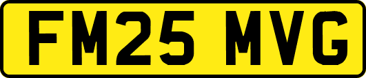 FM25MVG