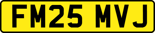 FM25MVJ