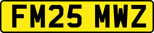 FM25MWZ