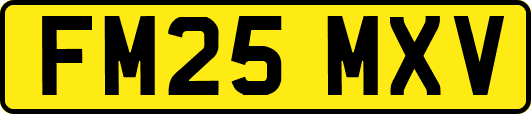 FM25MXV