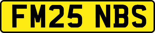 FM25NBS