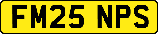 FM25NPS
