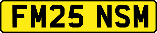 FM25NSM
